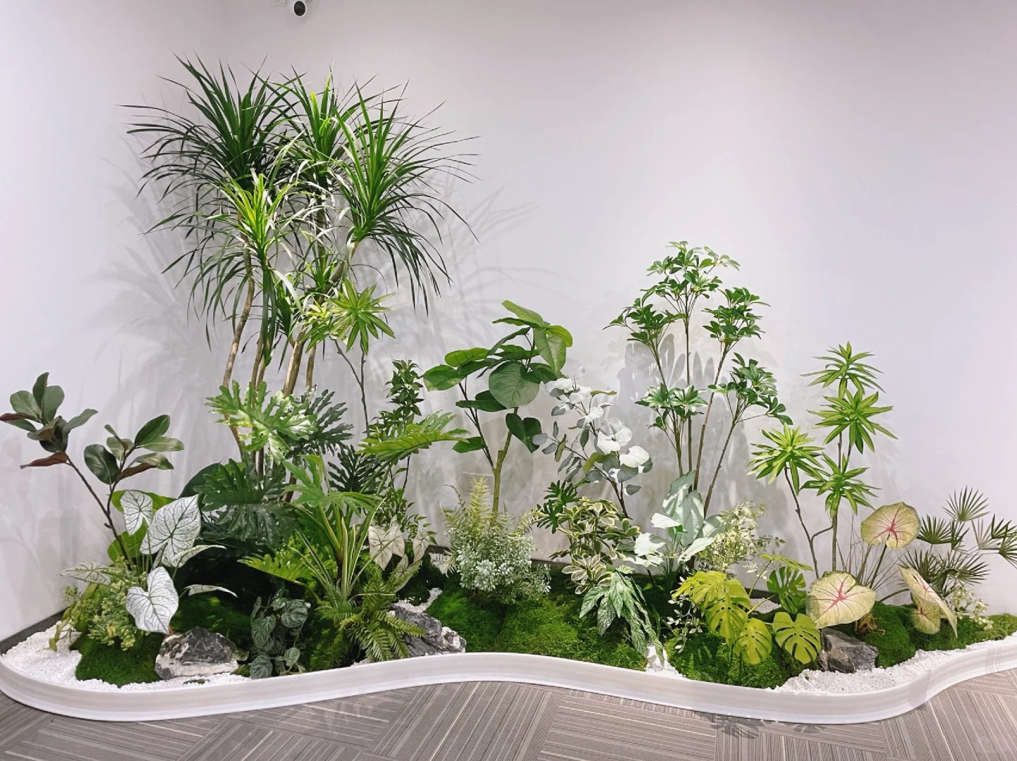 专业花木租摆,宁波镇海的绿植美学专家